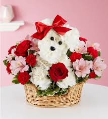 We did not find results for: Flowers Of Marietta Home Facebook