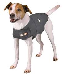 Guide To Thunder Jackets For Dogs Anxiety Shirts Calming