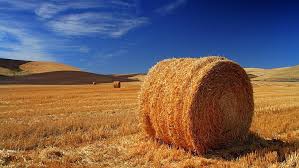 This is a free nature wallpaper in jpg format and without any watermark. Hd Wallpaper Hay Bale Field Soil Blue Sky Summer Harvest Straw Sunny Wallpaper Flare