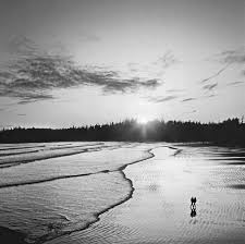 Software glitch mars 2007 Lions Directory