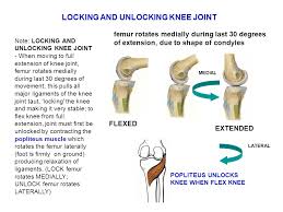 How do i unlock my phone? Review Of Lower Extremity Ppt Video Online Download