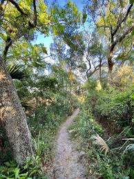 Explore The Spanish Pond Trail At Fort Caroline