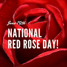 Alibaba.com offers 11,782 rose day 2020 products. Red Rose Day 2020 Wishes Quotes Happy Red Rose Day 2020 Photos Images Pics Greetings Status Wallpaper Songs Videos School Hos