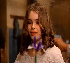 The best gifs for pretty baby brooke shields. Pretty Baby Brooke Shields Photo 843042 Fanpop