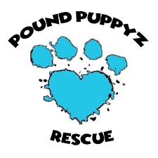 Dogs are altered, microchipped, vetted includes: Pound Puppyz Home Facebook