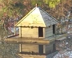 Daffy first appeared in porky's duck hunt, released on april 17, 1937. Floating Duck Houses Duck Platforms Duck Houses Garden Duck Houses