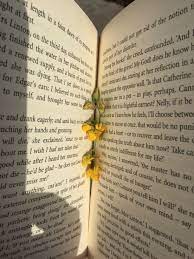 1,300 1 1 some cool yellow things from my faraday rotation project. Be Gentle With Yourself Are A Child Of The Universe No Less Than Trees And Stars You Have A Right To Be He Yellow Aesthetic Book Flowers Hufflepuff Aesthetic