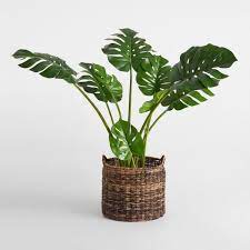 just the right dose of greenery to brighten any corner our lush faux monstera plant exudes chic jungle style bedroom plants ikea basket pendant light