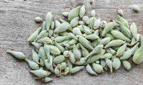 The woody cones that produce seeds within their framework are female. How To Forage And Cook Milkweed Pods