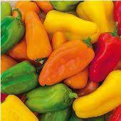Fairly large, blocky fruits have the standard bell pepper look, but with a unique coloration that is not usually seen. Pretty N Sweet Pretty N Sweet Pepper Seeds Pretty N Sweet Pepper Pretty N Sweet Peppers Ornamental Peppers Capsicum Annuum Sweet Pepper Seeds Seeds Seed Seed Catalog Seed Companies Seeds And Plants