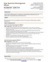 Pick a template and start customizing it right way to get more job offers. Business Development Officer Resume Samples Qwikresume