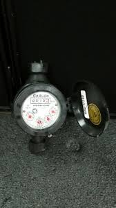CARLON 062JLPRS 13 GPM Plastic No Lead Series Water Meter | eBay