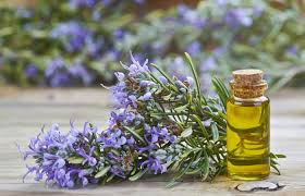 There is no overnight reversal of gray hair. 7 Amazing Homemade Hair Oils For Gray Hair