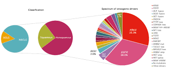 A tumor site located in the lung tissue or subpleural: Oncogenic Drivers In Advanced Nsclc Navigating An Evolving Landscape To Optimise Patient Outcomes European Medical Journal