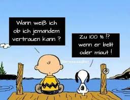 German Charlie Brown Witzige Spruche Spruche Weisheiten
