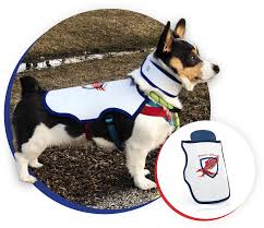 Federal law does not require you have service dog id card. Raptor Shield Inc Protective Vests For Your Dogs