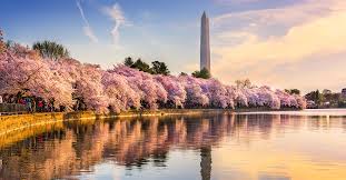 You can have the best weekend around dc. 68 Best Fun Things To Do In Washington Dc Attractions Activities