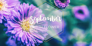 It was stunning, beautiful flowers as well as all the amazing topiary animals and after viewing the gardens we did th. September Birth Month Flowers