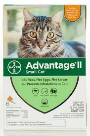 Advantage Ii For Cats Bayer Flea Tick Topicals Flea Tick