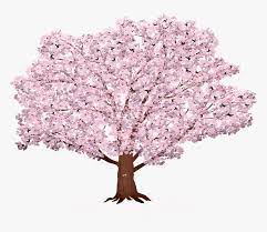 Maybe you would like to learn more about one of these? Sakura Tree Background Sunrays Sakura Summer Spring Bouquet Hd Png Download Kindpng