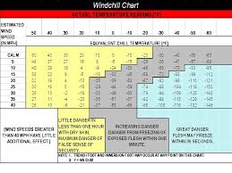 65 prototypical windchill chart