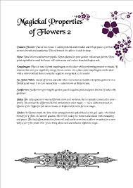 Pin On Herbs Magic Healing And Beauty