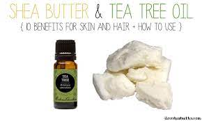 Tea Tree Oil And Shea Butter Benefits How To Mix Beautymunsta Free Natural Beauty Hacks And More Tea Tree Oil Benefits Shea Butter Benefits Tea Tree Oil For Acne