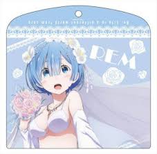 The new discount codes are constantly updated on. Re Zero Starting Life In Another World Flat Case Rem Anime Toy Hobbysearch Anime Goods Store