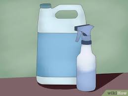 How To Remove Pet Stains And Odors From Carpet With A Steam Cleaner
