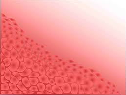 We did not find results for: Animal Tissues