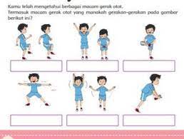 Contoh gerak fleksi terjadi saat menekuk lengan, kaki, saat kepala menunduk, dan saat pinggang menekuk untuk membungkuk. Kamu Telah Mengetahui Berbagaimacam Gerak Otot Termasuk Macamgerak Otot Brainly Co Id