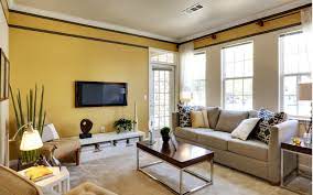 25 Living Room Wall Color Combinations