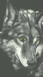Download Wolf Wallpaper By Georgekev Now Browse Millions Of Popular Animal Wall Brianne Tatuagem De Lobo Lobo