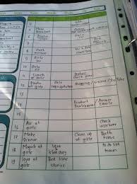 Kali ini admin menulis contoh jadwal harian ibu rumah tangga muslimah. Jadwal Kegiatan Ibu Rumah Tangga Sehari Hari Sekitar Rumah
