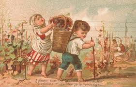 Coutumes Et Traditions Un A C Loge Des Vendanges Et Du Vin Par Des Gastronomes Journal Des Gourmands Ivresse A C Picuriens Bacchus Vendange Vin Vin De France