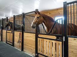 The Ultimate Guide to Choosing the Right Horse Stalls for Your Barn