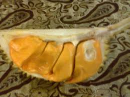 According to google translate, the word shing lai fung lai translated in english means shing fung lai lai. Buah Lai Fruit Inner View Picture Of Shervinton Executive Boutique Hotel Tawau Tripadvisor