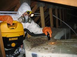Bed bugs are troublesome household pests. Bed Bug Treatment Costs 2020 Prices Pestseek