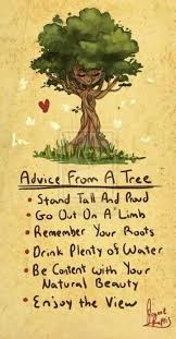 Trees Know Stuff Words Quotes For Kids Life Quotes