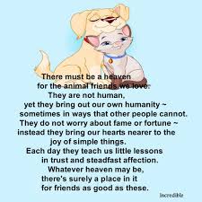 There Is A Pet Heaven Animal Lover Quotes Pet Grief Heaven Quotes