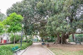 Also known as municipal garden, it is maintained by the garden welfare association of mussoorie and was laid down by dr h. Kipos Park Municipal Garden Of Chania Allincrete Travel Guide For Crete
