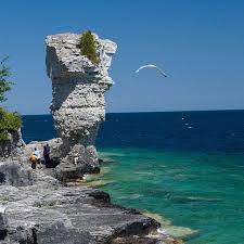 Home Bruce Anchor Cruises Flowerpot Island Island Landscape Photography