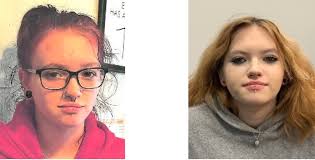 Anyone missing a German shepherd in lillington last seen about 15 mins ago  near Fowler circle had a leash on!!