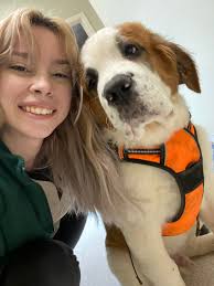 I used to work at PetSmart in 2017, these two always sat like this! They  were in a critter keeper while I cleaned their enclosure