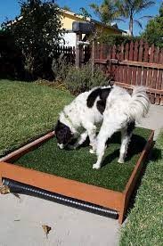 Pin On Dog Stuff