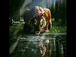 Maybe you would like to learn more about one of these? Story Wa Macan Putih Bahasa Sunda Lagu Mp3 Mp3 Dragon