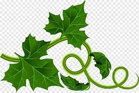 Maybe you would like to learn more about one of these? Pumpkin Bread Drawing Leaf Fence Leaf Vegetable Branch Plant Stem Png Pngwing