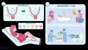 Image result for Non-Pharmacologic Pain Control in Labor