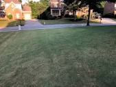 Out of control worm castings | Lawn Care Forum