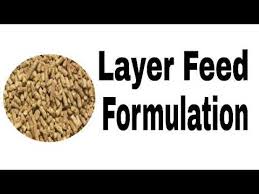 Download Poultry Feed Formulation Formula 1 Layer Feed Formulation Poultry Farming Poultry Feed Youtube